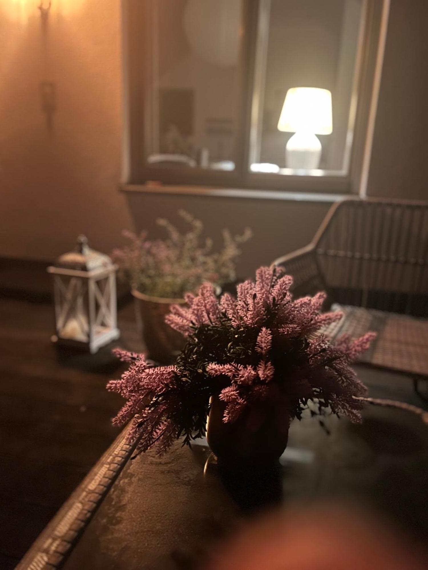 Stilvolle Studiowohnung Mit Sonnenterasse 레다비덴브루크 외부 사진